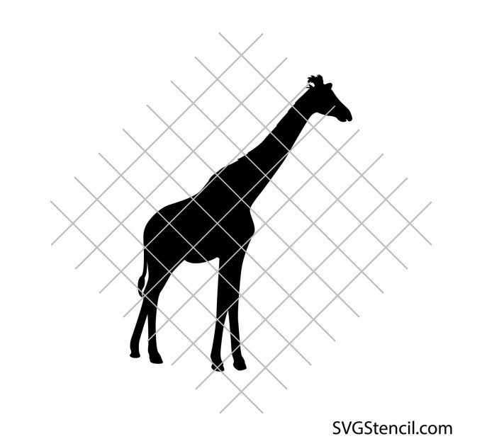 Giraffe mandala svg | Floral giraffe svg