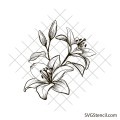 Lilies svg | Lilly flower svg