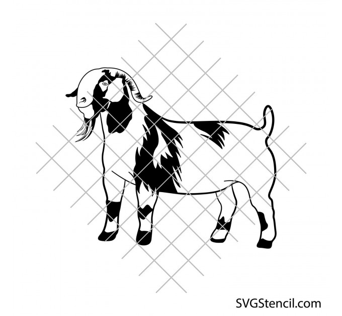 Boer goat svg | Farm goat svg