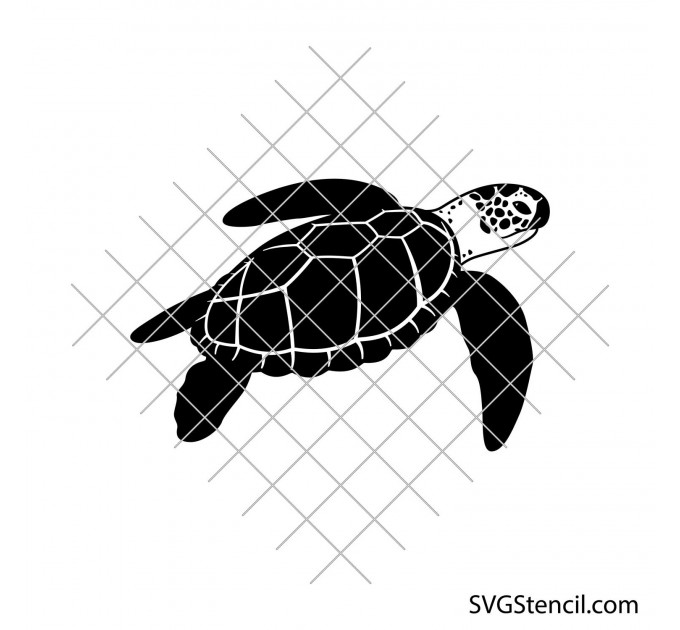 Sea turtle svg | Cute turtle svg