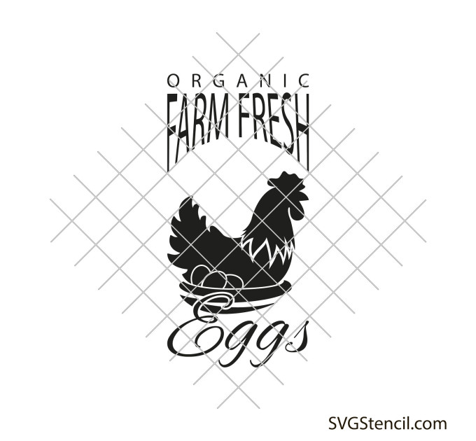 Farm fresh eggs svg | Chicken	organic svg