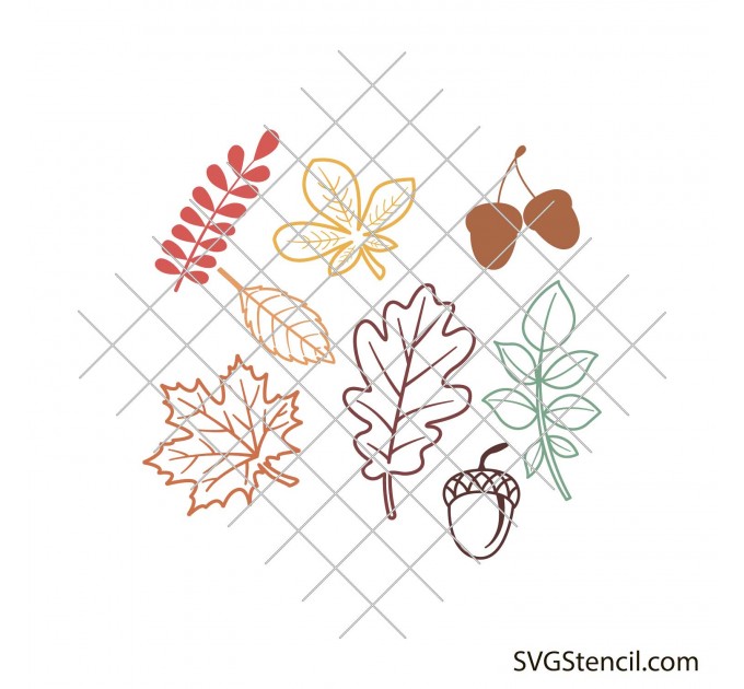 Fall leaf svg | Autumn leaves svg