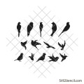 Birds svg bundle | Bird silhouette svg