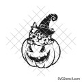 Halloween cat svg | Kitten in a pumpkin svg