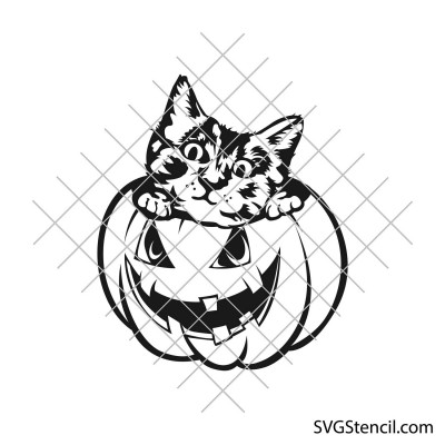 Halloween cat svg | Kitten in a pumpkin svg