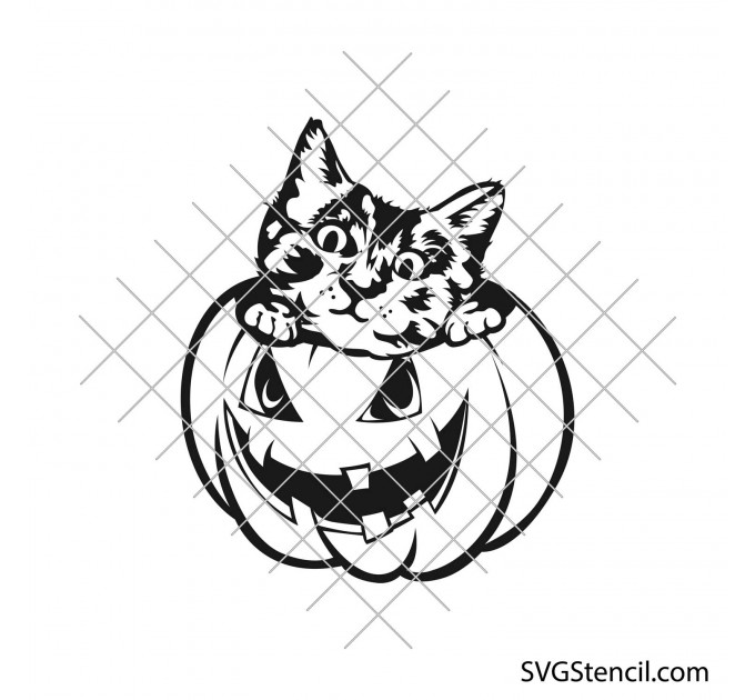 Halloween cat svg | Kitten in a pumpkin svg