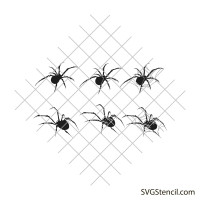 Spider svg | Spider with spider web svg