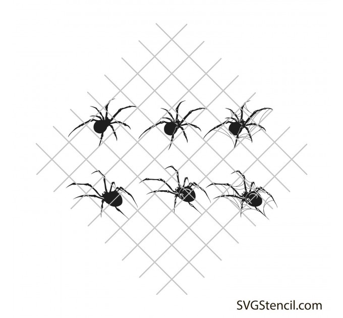 Spider svg | Spider with spider web svg