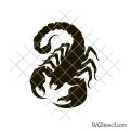 Scorpion outline svg | Scorpio silhouette svg | Scorpion drawings