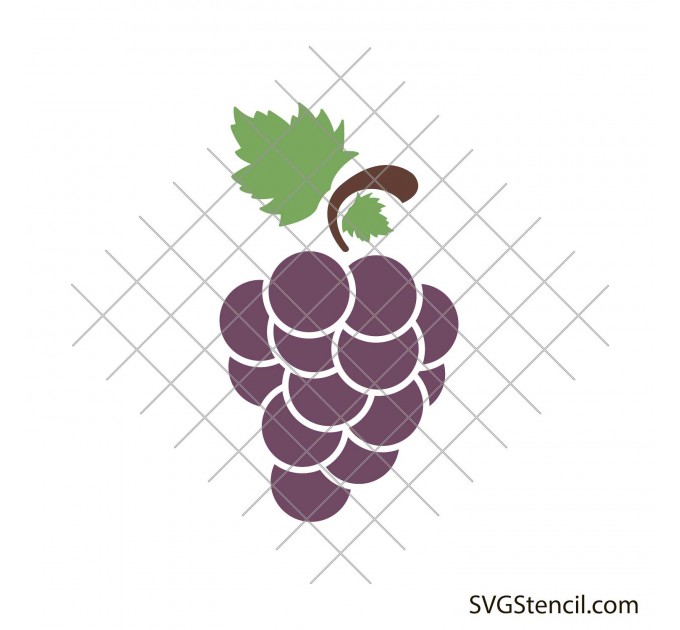 Grape svg | Fruit svg | Wine svg