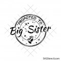 Promoted to Big sister svg | New baby svg | Gender reveal svg