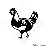 Realistic chicken svg | Chicken clipart | Han svg