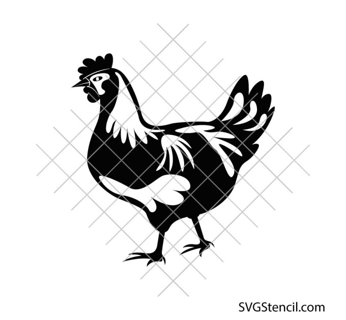 Realistic chicken svg | Chicken clipart | Han svg