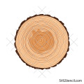 Tree trunk slice svg | Wooden log svg | Wood decor svg