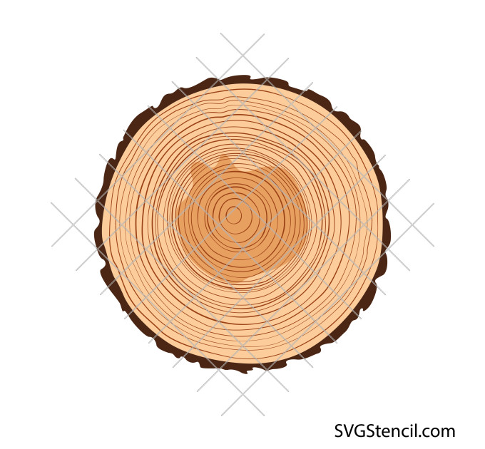 Tree trunk slice svg | Wooden log svg | Wood decor svg