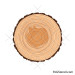 Tree trunk slice svg | Wooden log svg | Wood decor svg
