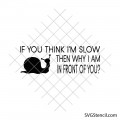 If you think i'm slow then why i am in front of you svg