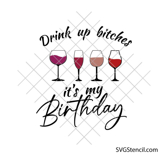 Drink up its my Birthday svg | Funny birthday wine quote cut file | Party shirt cricut design