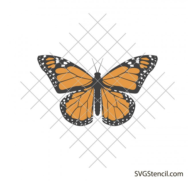 Butterfly clipart svg | Cricut butterfly svg