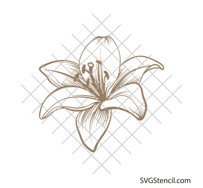 Lily flower svg | Easter lily svg