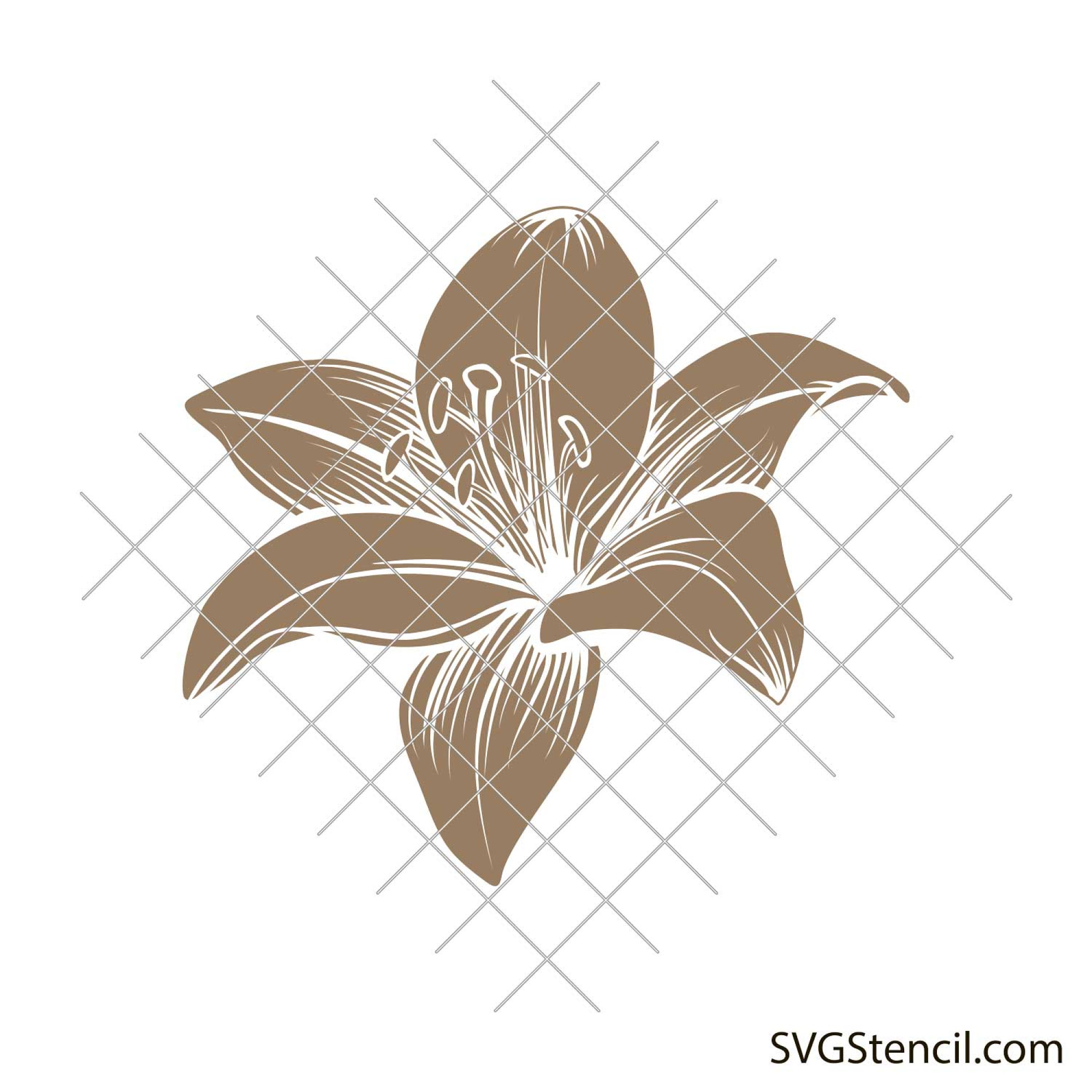 Lily silhouette svg | Stargazer lily svg | Cute flower svg
