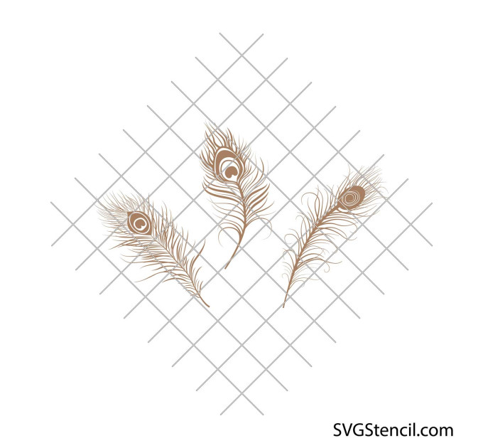 Peacock feathers svg | Feather mandala svg
