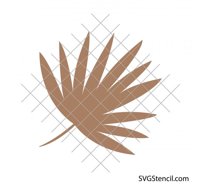 Set of palm leaf svg | Tropical leaves svg