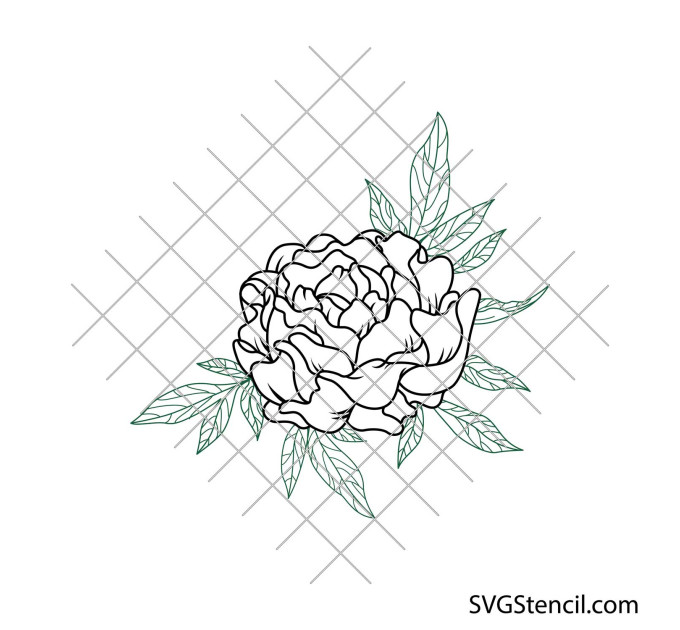 Peony flower with leaves svg