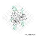 Plumeria svg | Tropical flowers svg